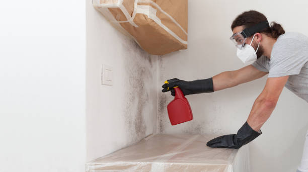 Professional Commercial Mold Remediation technician working in Union City, NJ